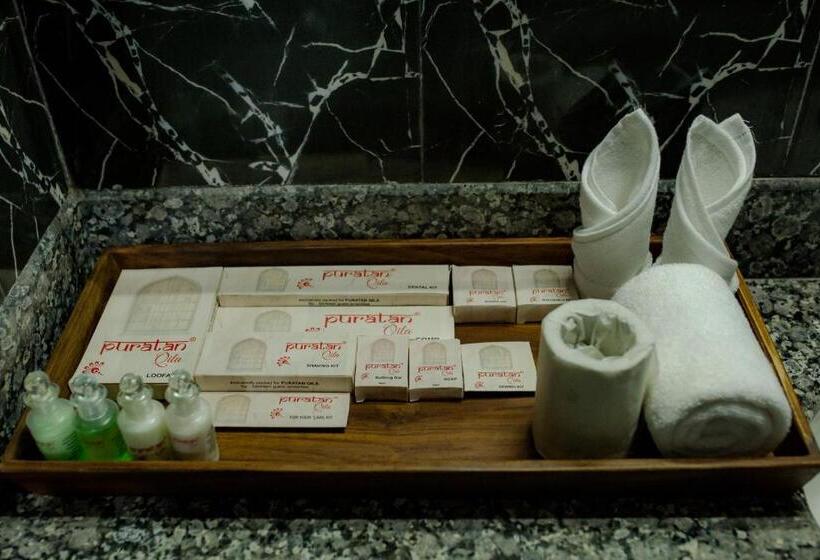 Отель Puratan Qila