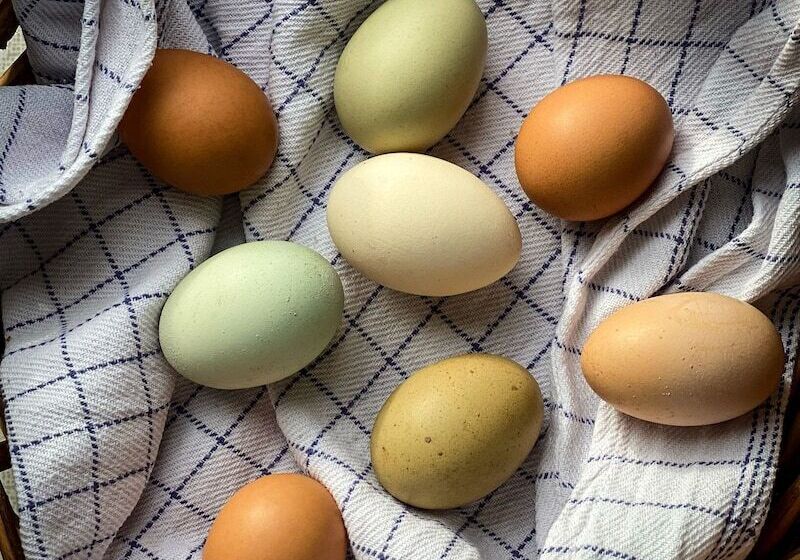 호텔 Rallarhustruns