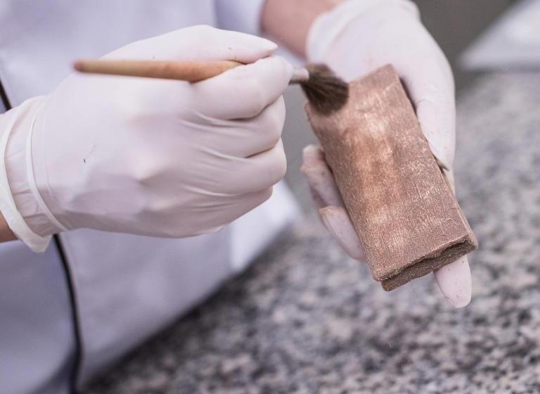 בית מלון כפרי Schoko Apartments