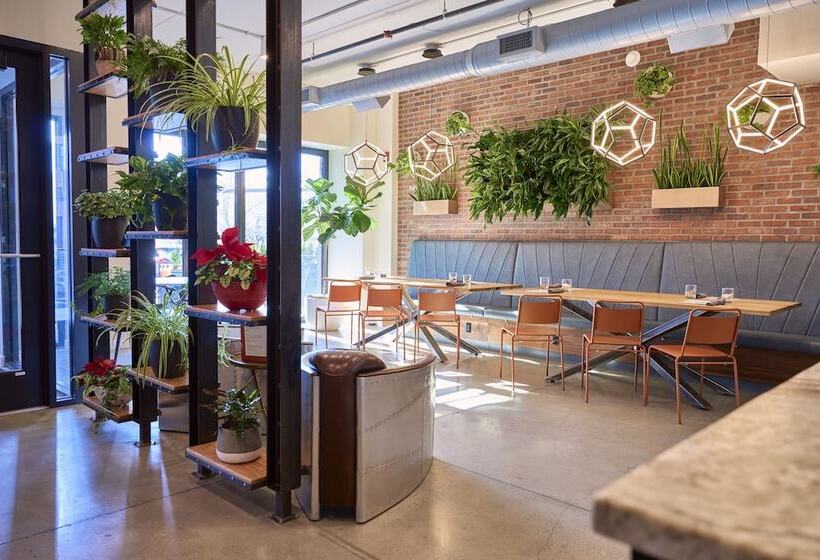 בית מלון כפרי The Maj