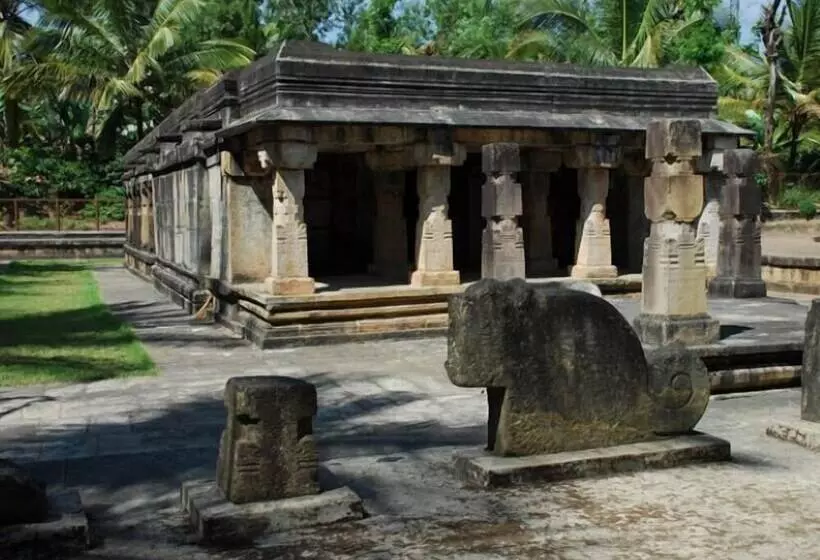 Regenta Jungle Resort Kabini Springs