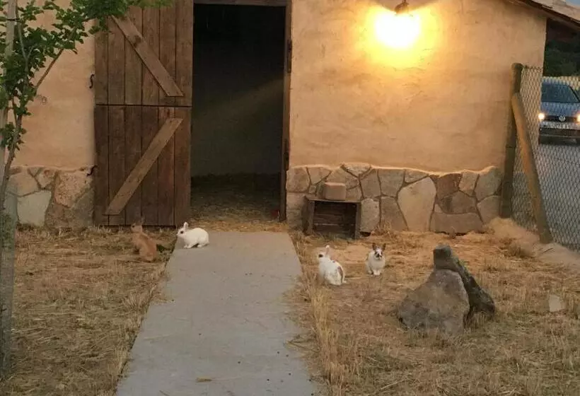 リゾートホテル Las Villas De Fuentidueña