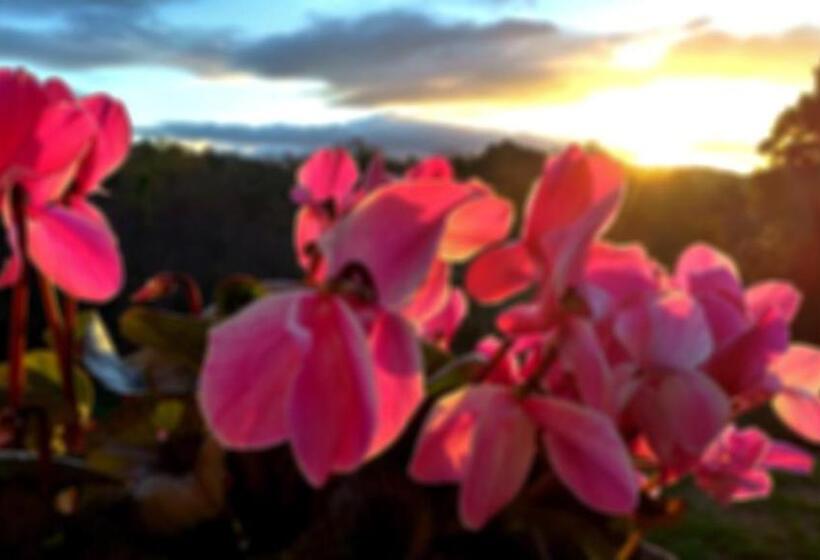 تختخواب و صبحانه Il Venaio