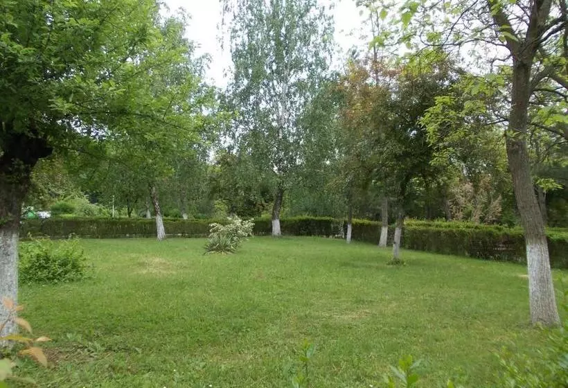 هتل Muncel Băile Felix