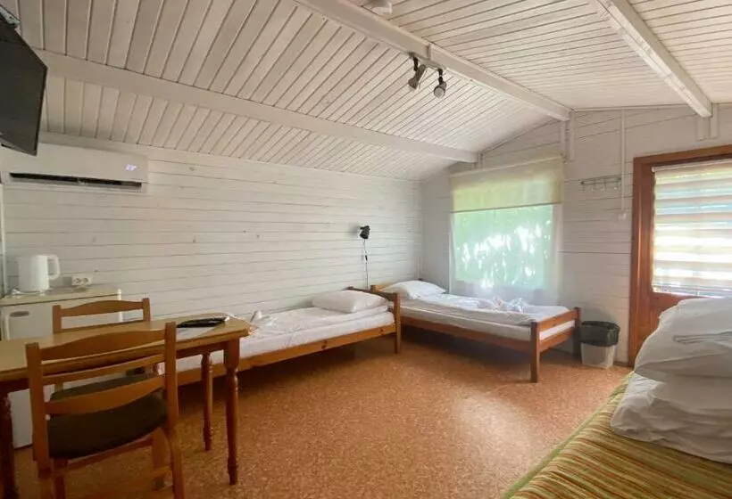 پانسیون Olle Holiday House
