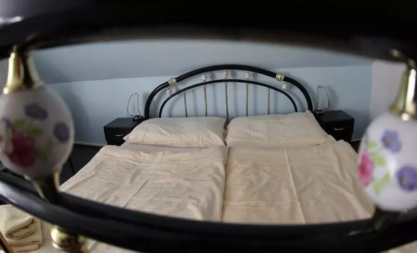 ペンション Penzion U Tesaru