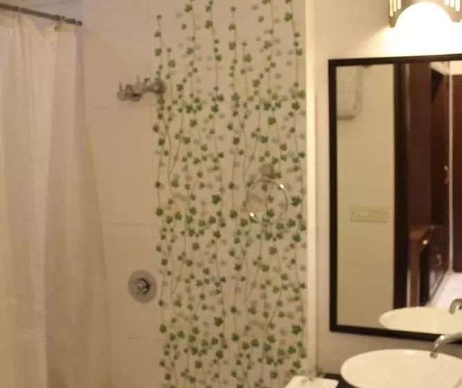 Hotel Comfort Zone Greater Kailash