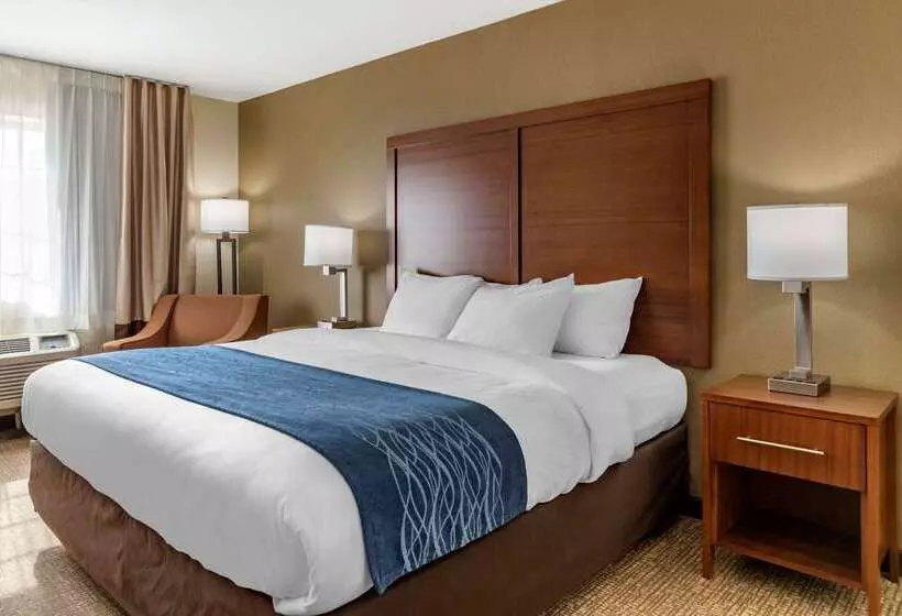 酒店 Comfort Inn & Suites Texas Hill Country