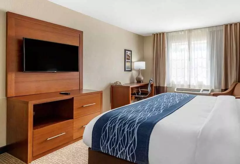 酒店 Comfort Inn & Suites Texas Hill Country