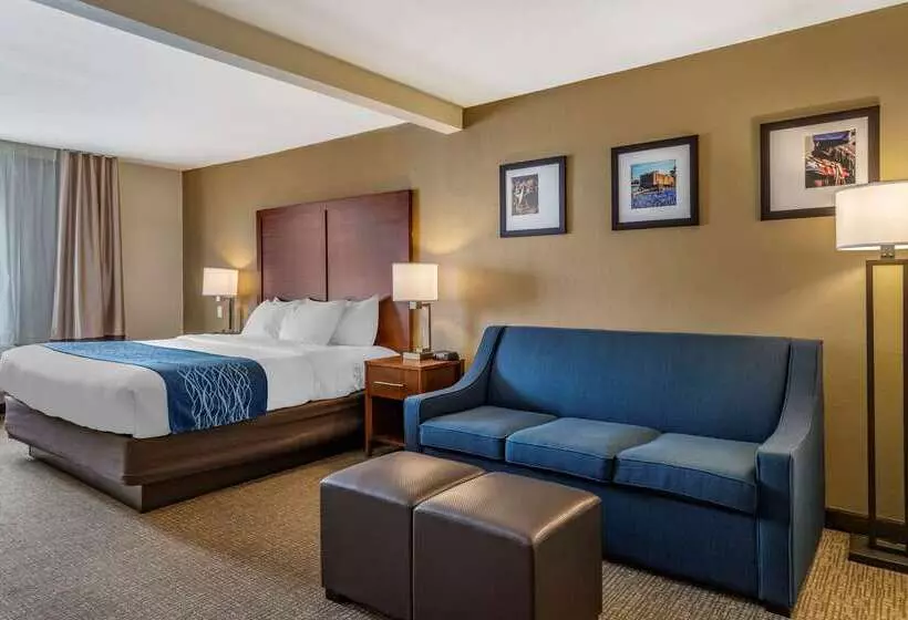 酒店 Comfort Inn & Suites Texas Hill Country