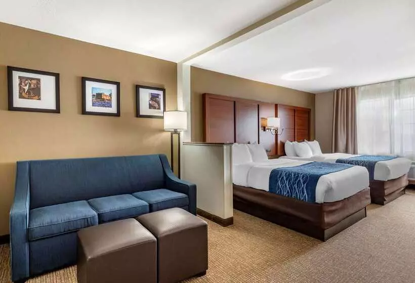 酒店 Comfort Inn & Suites Texas Hill Country