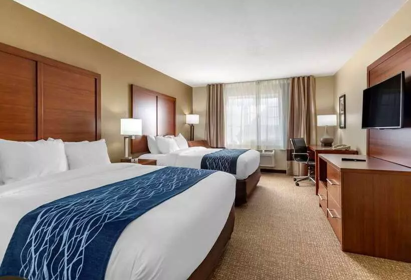 酒店 Comfort Inn & Suites Texas Hill Country