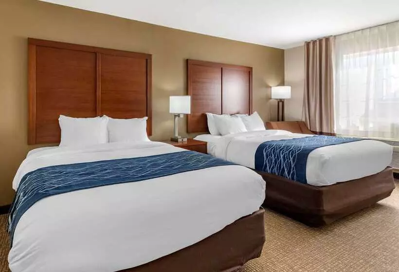 酒店 Comfort Inn & Suites Texas Hill Country