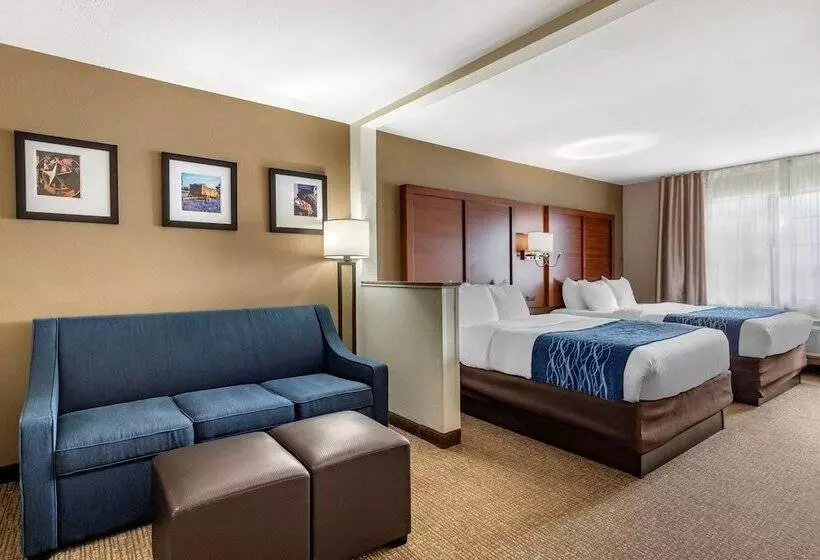 酒店 Comfort Inn & Suites Texas Hill Country