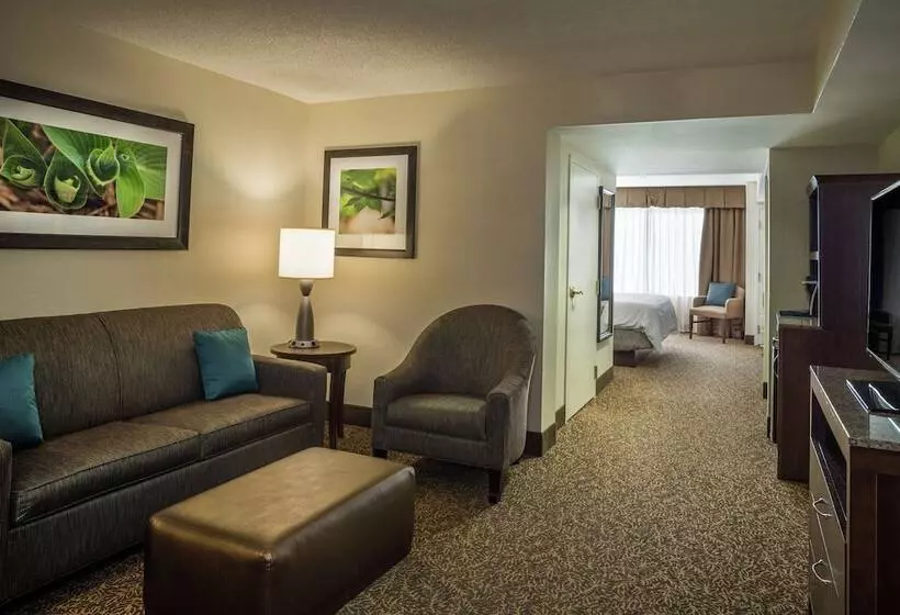 هتل Hilton Garden Inn Richmond Innsbrook