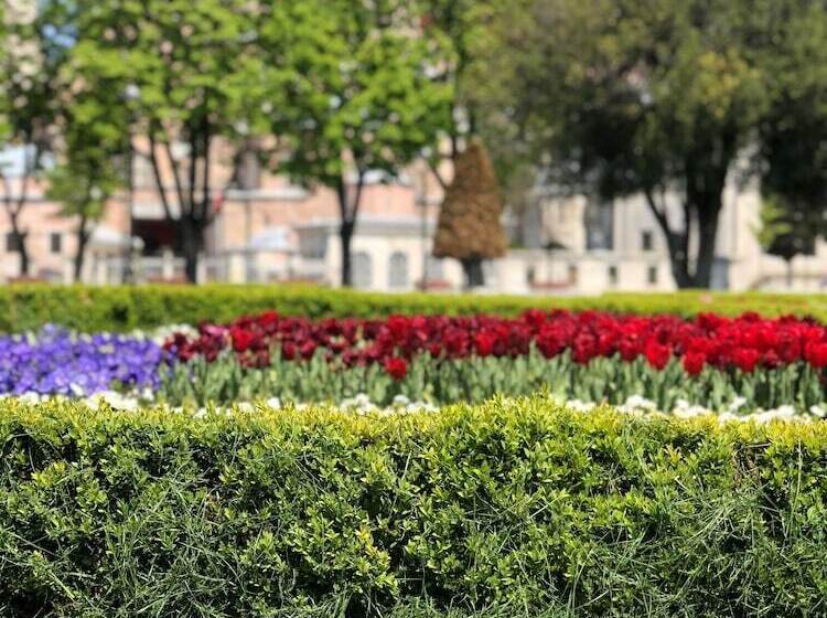 ホテル Nomade Old City