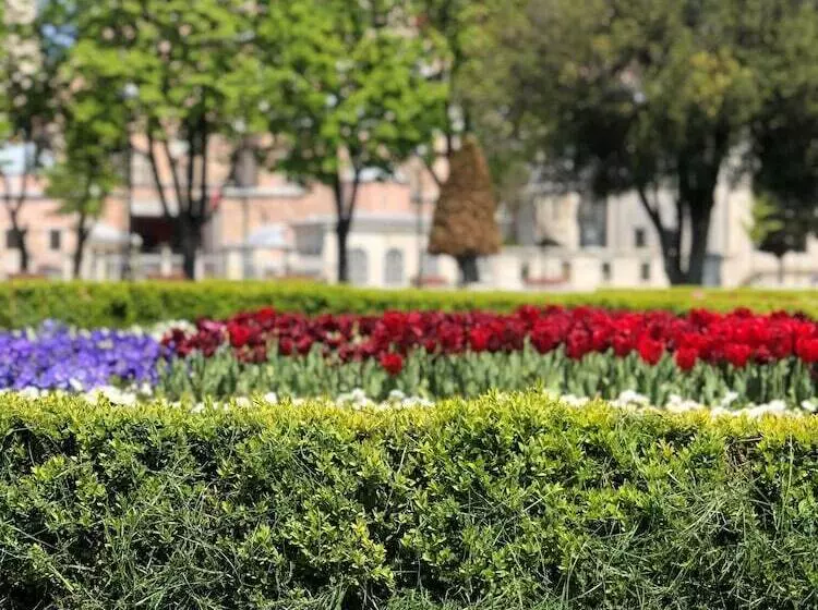 هتل Nomade Old City