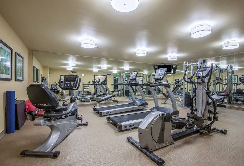 Otel Staybridge Suites Allentown West By Ihg