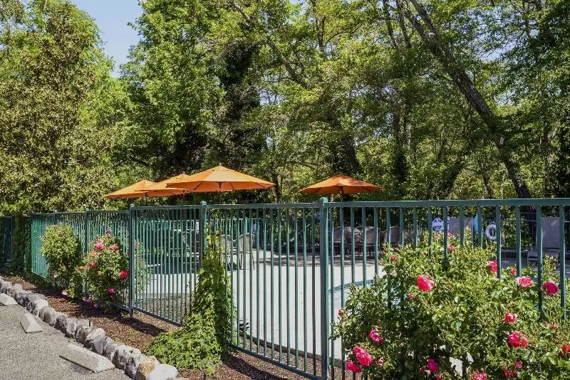 Отель The Jack London Lodge