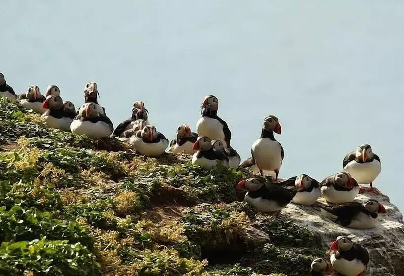 هتل Hestasport Cottages