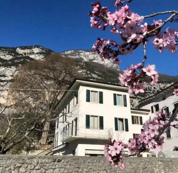 Aamiaismajoitus (B&B) Garnì Delle Rose