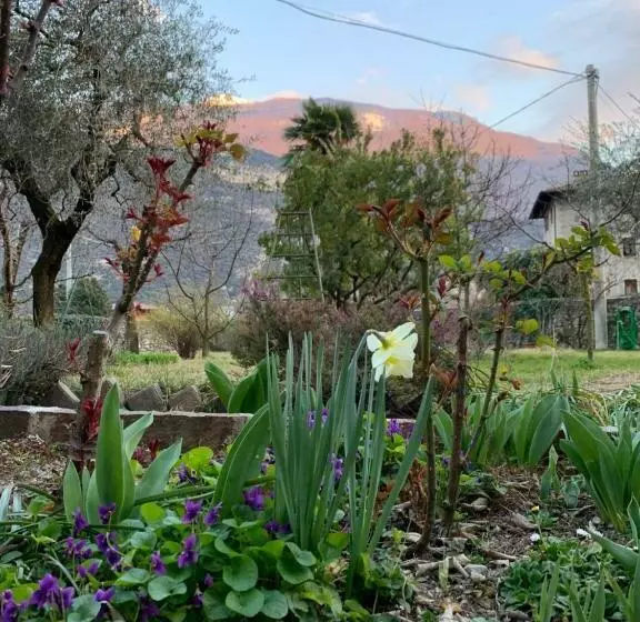 Aamiaismajoitus (B&B) Garnì Delle Rose