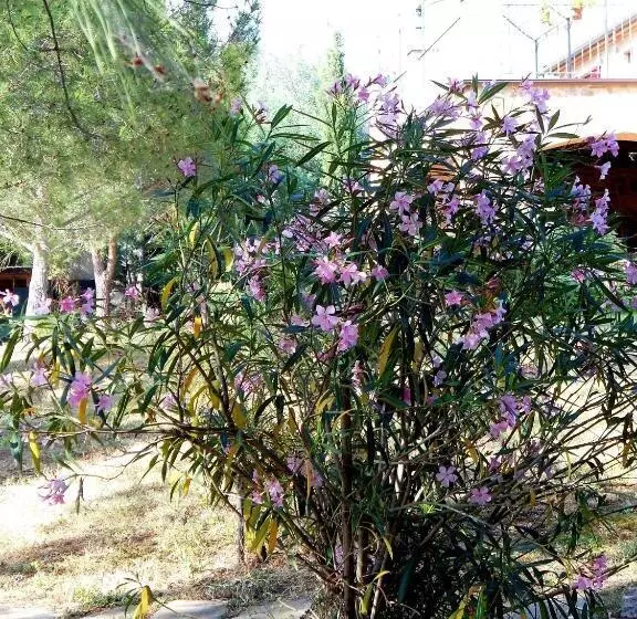 Casetta Francini