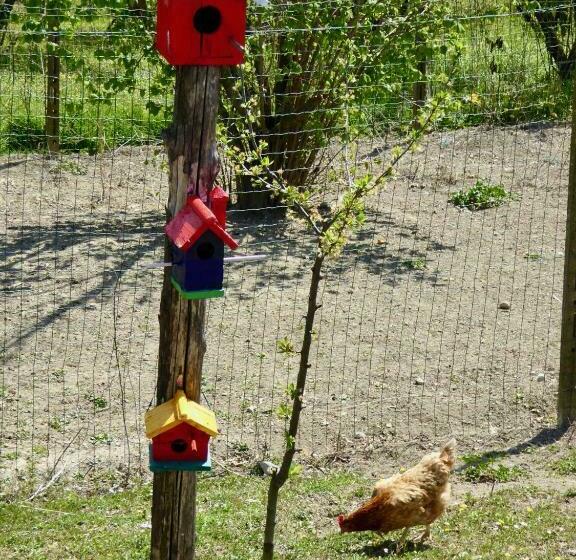 فندق Agriturismo Bottega Di Rosanna