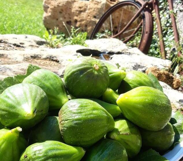 Отель Giardini Di Marzo