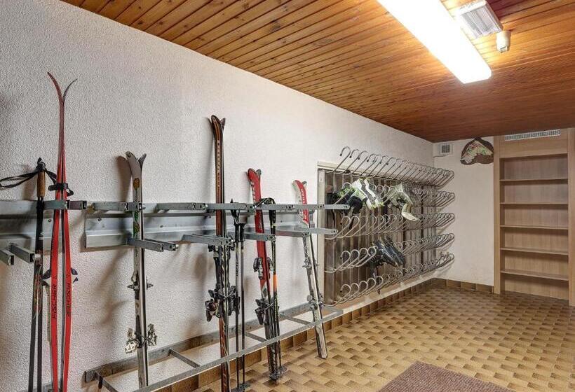 Отель Gisserhof