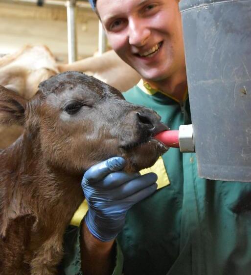 בית מלון כפרי Haflingerhof