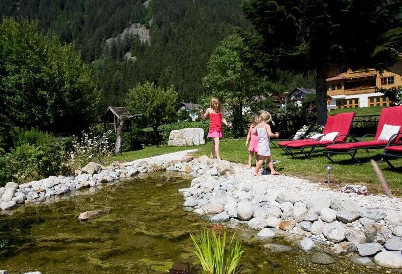 בית מלון כפרי Messnerwirt