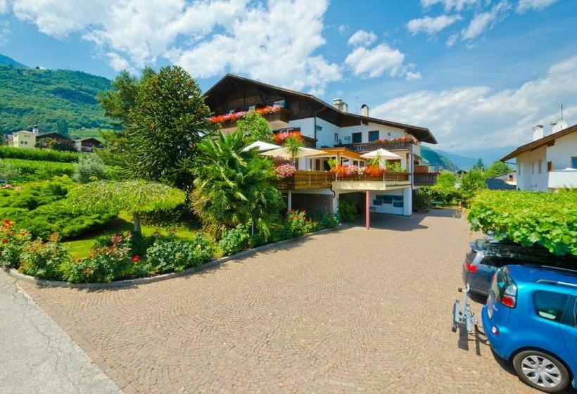 호텔 & Residenz Traubenheim