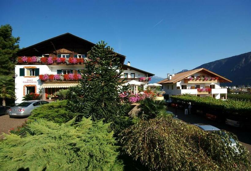 호텔 & Residenz Traubenheim