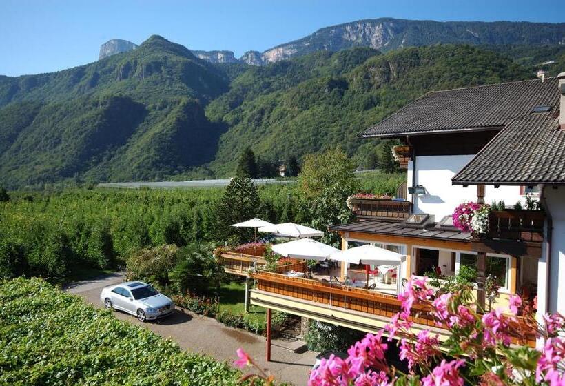 호텔 & Residenz Traubenheim