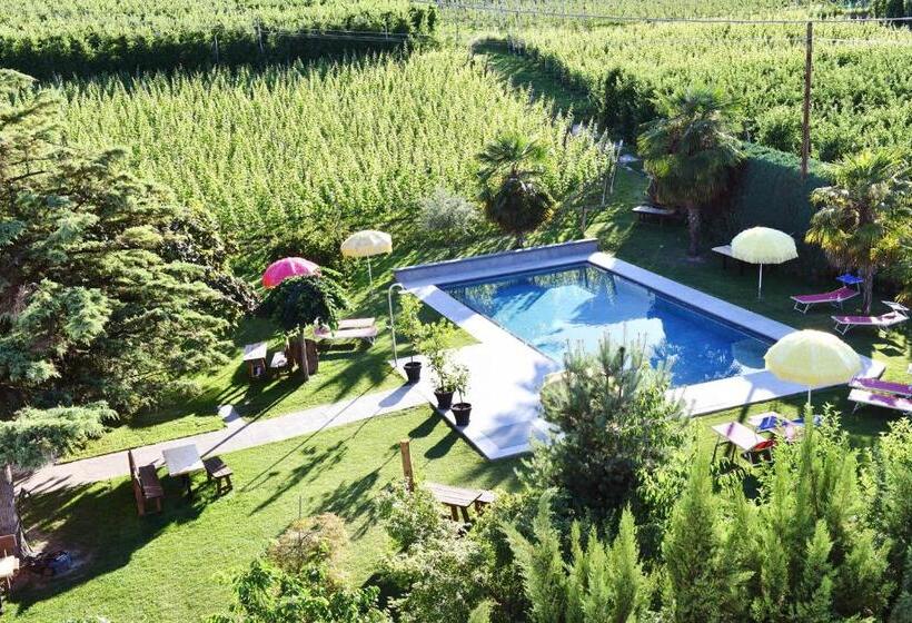 호텔 & Residenz Traubenheim