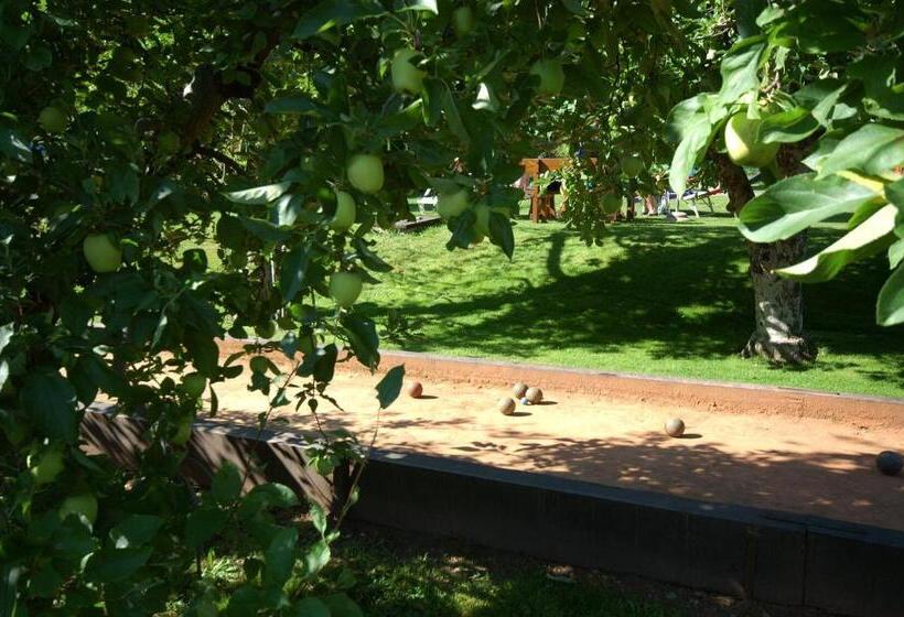 فندق & Residenz Traubenheim