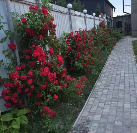 Motelli мотельный комплекс телега