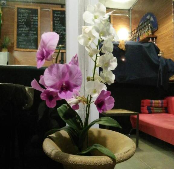 膳宿费 Green Happy Homestay