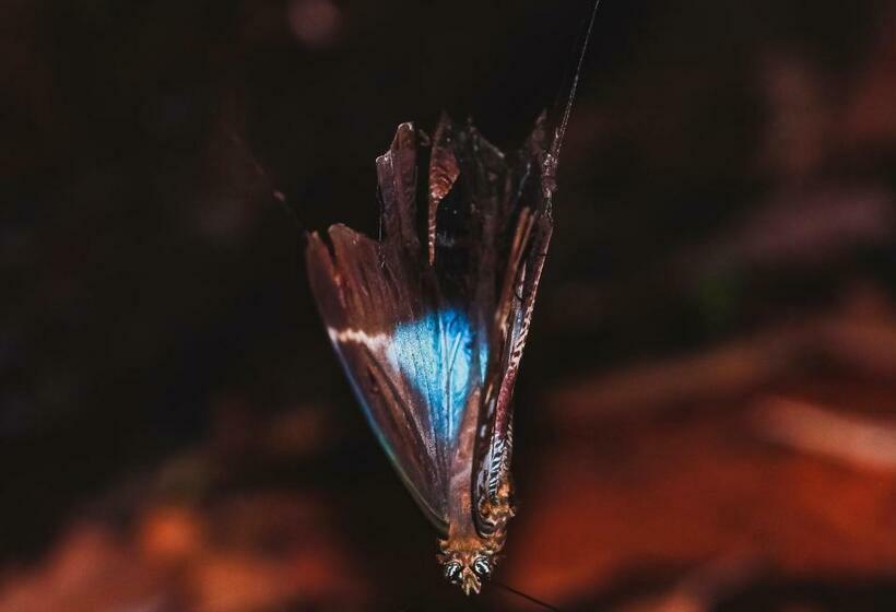 膳宿费 Hostal Casa Blanca