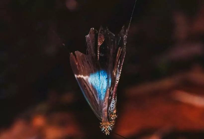 Majatalo Hostal Casa Blanca