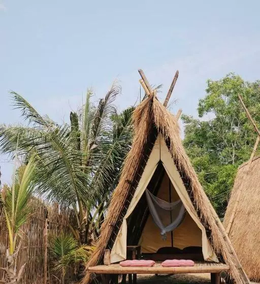 پانسیون Young Wild And Free