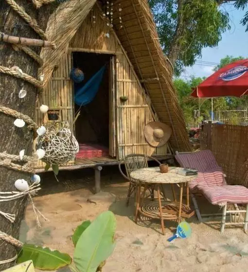 پانسیون Young Wild And Free