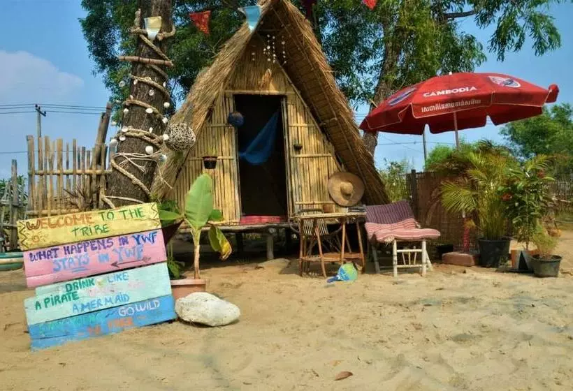 پانسیون Young Wild And Free