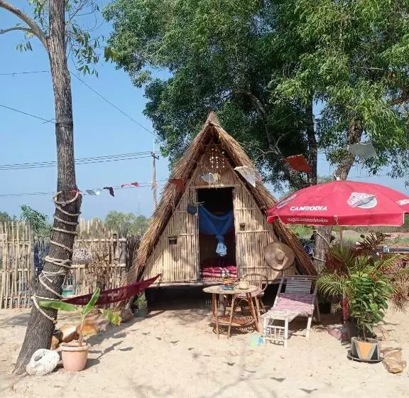 پانسیون Young Wild And Free