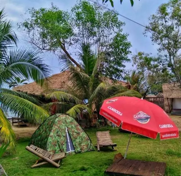 پانسیون Young Wild And Free