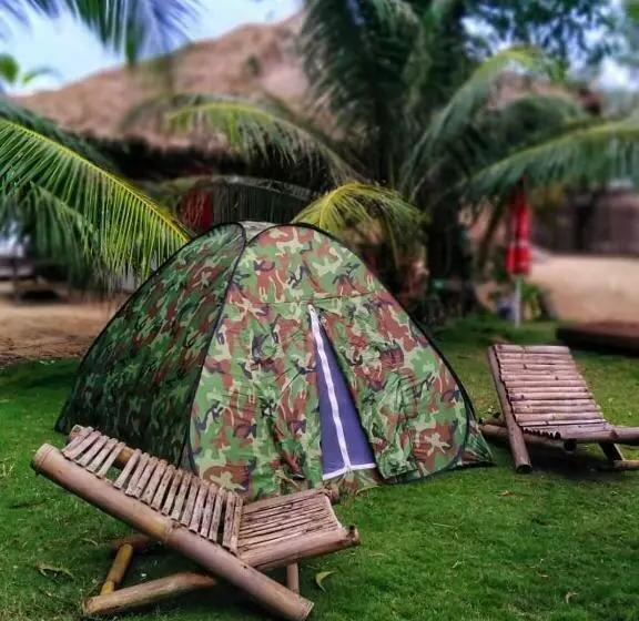 پانسیون Young Wild And Free