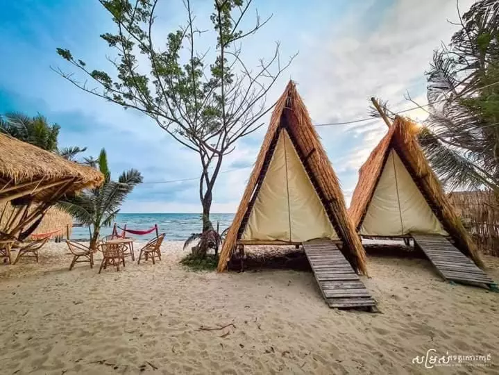 پانسیون Young Wild And Free