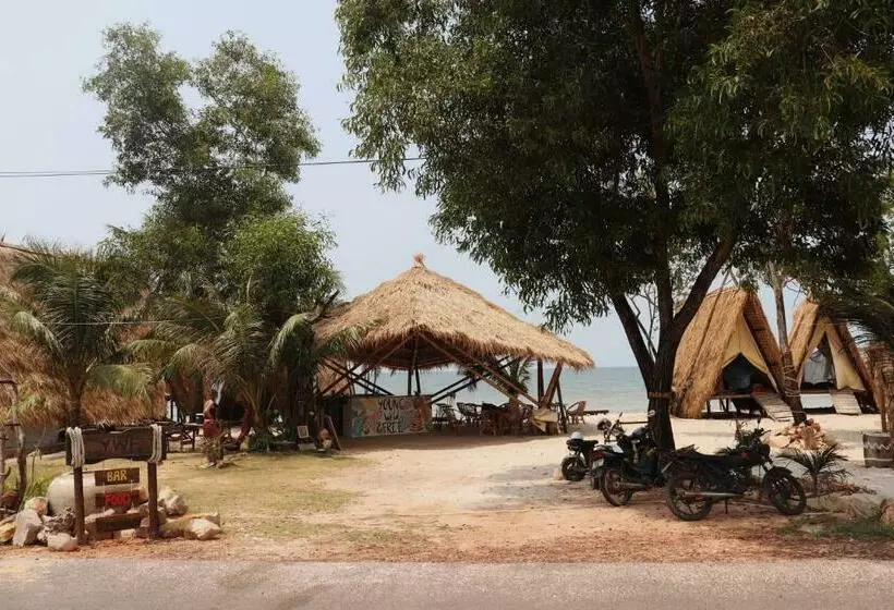 پانسیون Young Wild And Free