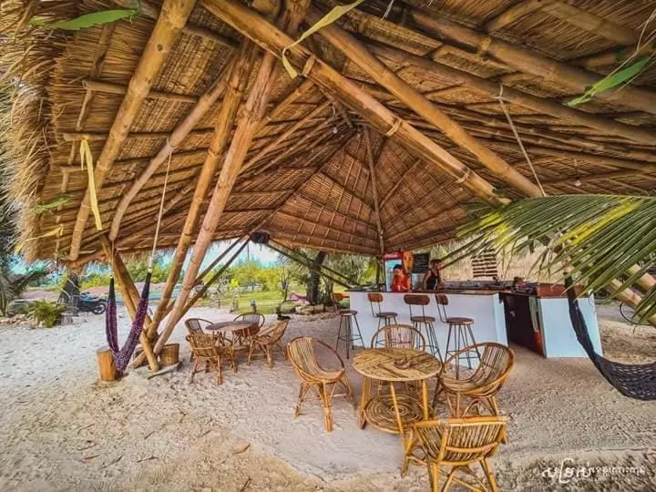 پانسیون Young Wild And Free